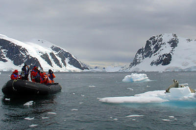 Groepsrondreis Antarctica - Crossing the Circle