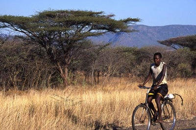 Zuid-Afrika safarireis