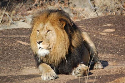 Zuid-Afrika Swaziland