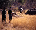 Matobo NP