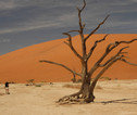 Namibie Self Drive