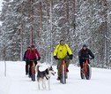 Rondreis Lapland fatbiking
