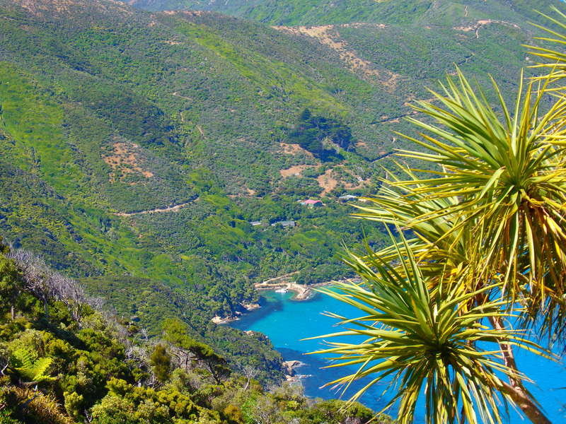Rondreis Australië en Nieuw-Zeeland