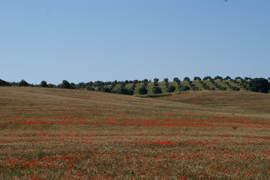 Cycletours fietsvakanties Portugal Alentejo Spanje Andalusie