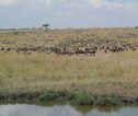 familiereis Kenia masai mara