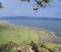  Gamedrive Lake Nakuru