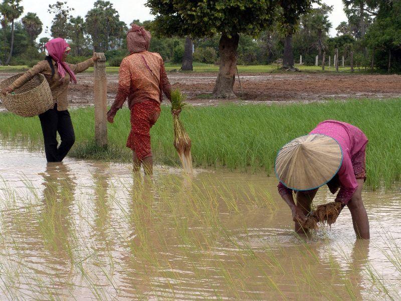 Groepsrondreis Laos & Cambodja