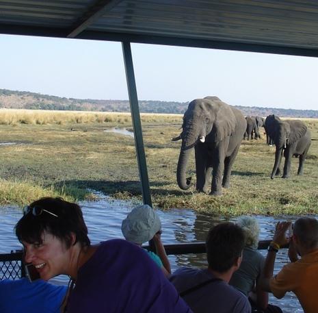 Rondreis Botswana Chobe Gamedrive