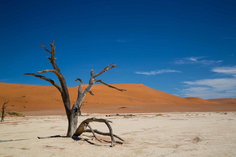 Rondreis Namibie Deadvlei