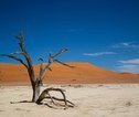 Rondreis Namibie Deadvlei