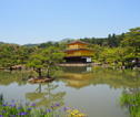 Golden Pavilion Kyoto