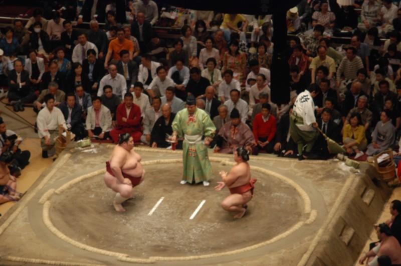 Sumo