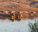 Etosha