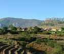 landschap Madagascar
