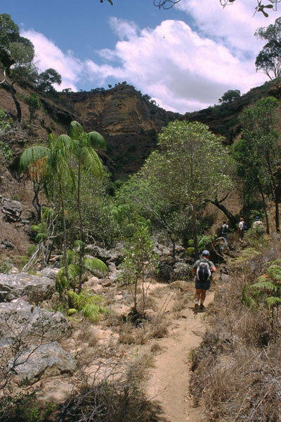Madagascar, natuur, wandeling