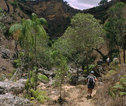 Madagascar, natuur, wandeling
