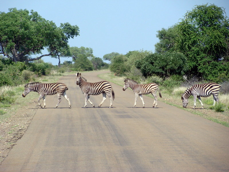 Krugerpark