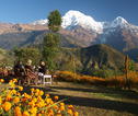 Familiereis Nepal ontbijt Annapurna