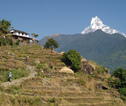 Familiereis Nepal uitzicht Machapuchare