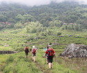 Toraja trek