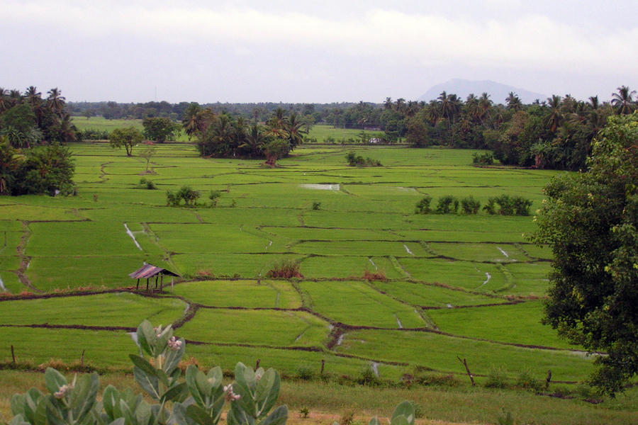 Cycle Tours Sri Lanka