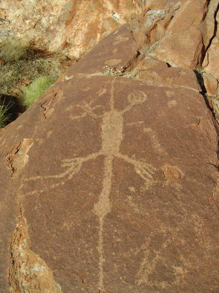 West Australie Michiel Tekening