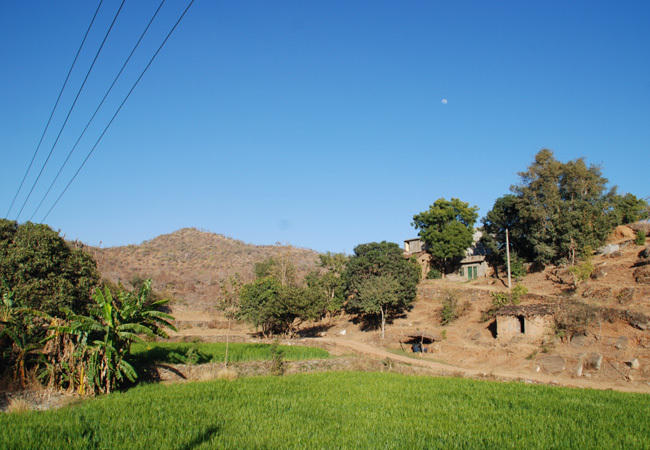 Groepsrondreis Noord-India Compleet