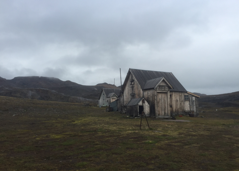 Camp Mansfield Joeri