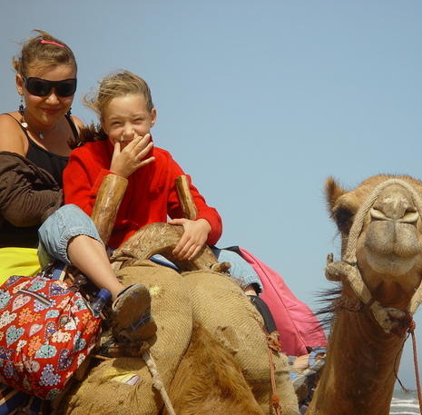 familiereis Marokko kamelen