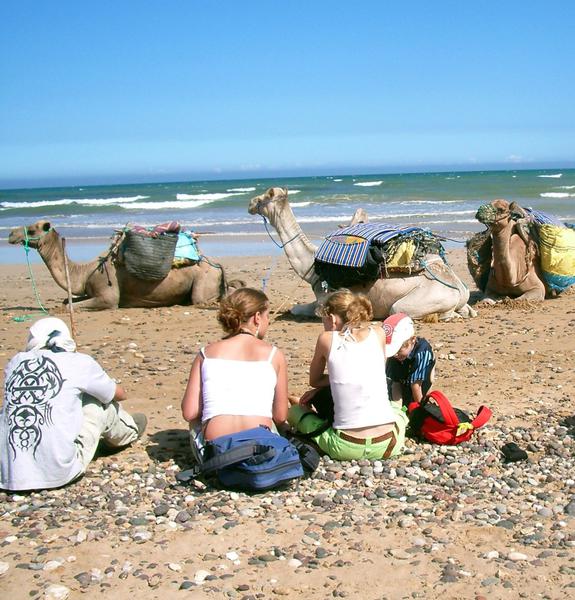 familiereis Marokko kameel