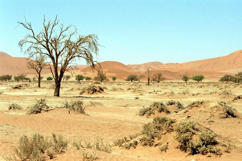 familiereis Zuidelijk Afrika sossusvlei