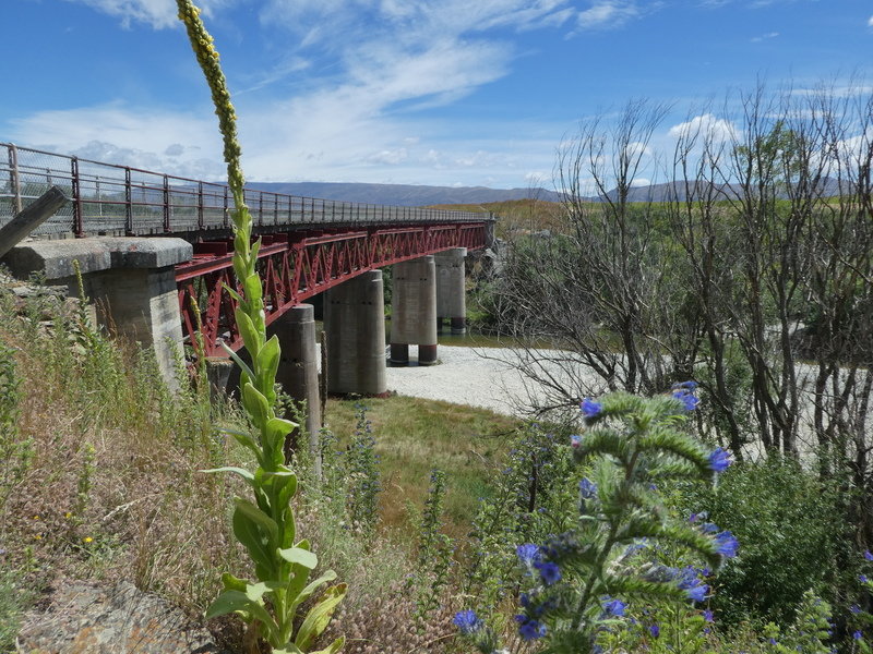 Fietsvakantie Nieuw Zeeland Cycletours 21