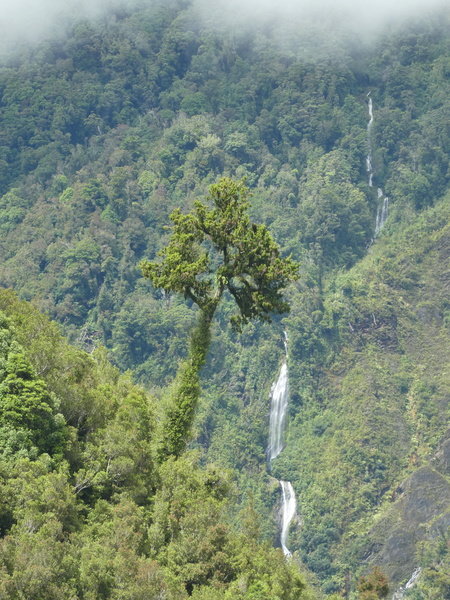 Fietsvakantie Nieuw Zeeland Cycletours 38