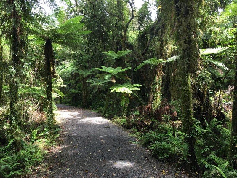 Fietsvakantie Nieuw Zeeland Cycletours 42