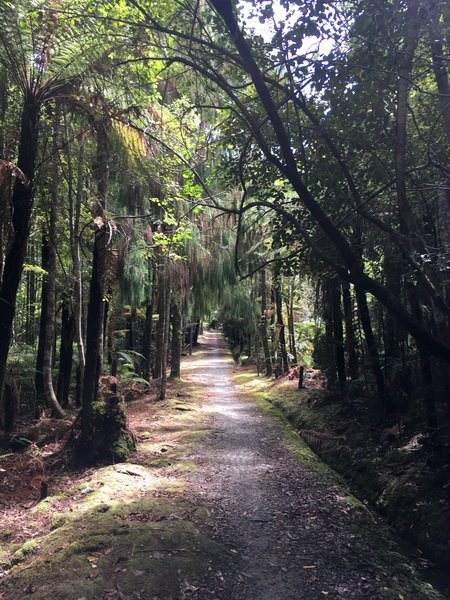 Fietsvakantie Nieuw Zeeland Cycletours 46