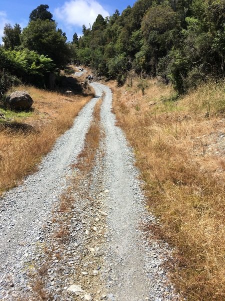 Fietsvakantie Nieuw Zeeland Cycletours 48