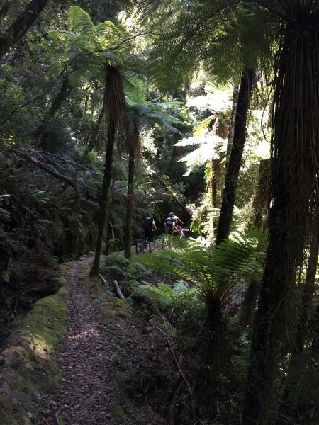 Fietsvakantie Nieuw Zeeland Cycletours 49