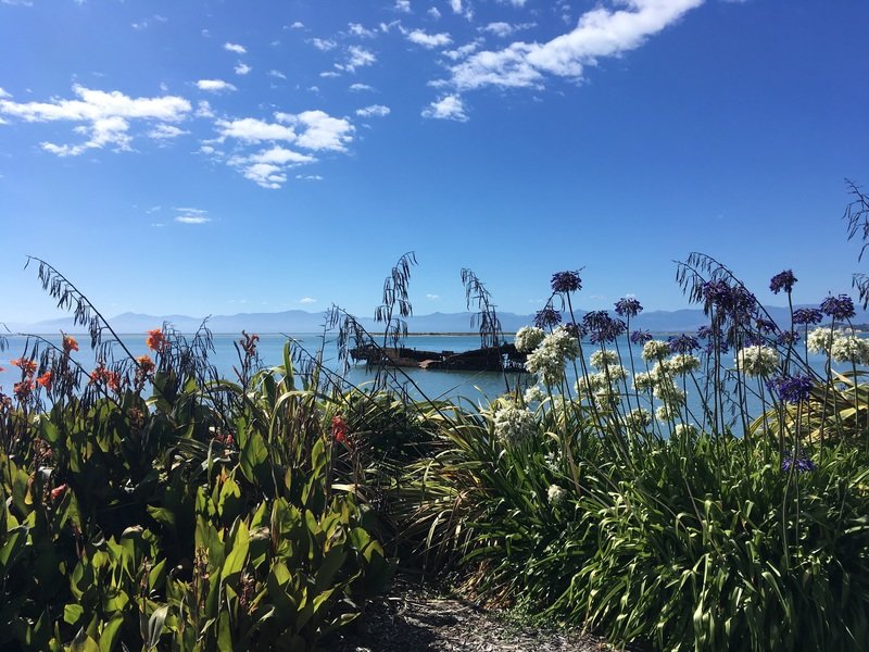 Fietsvakantie Nieuw Zeeland Cycletours 61