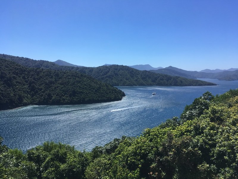 Fietsvakantie Nieuw Zeeland Cycletours 68