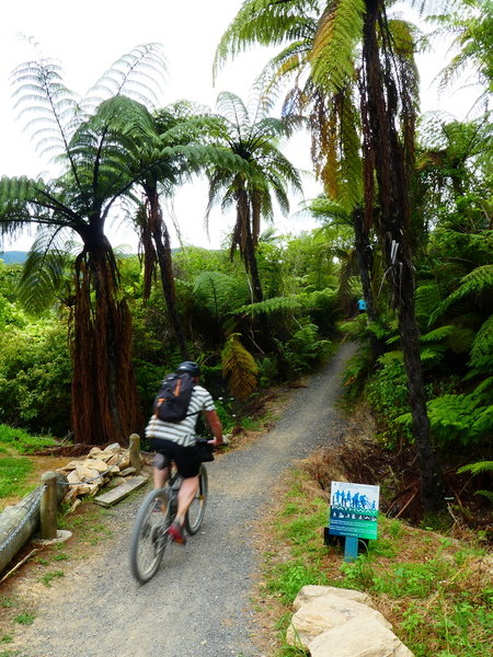 Fietsvakantie Nieuw Zeeland Cycletours 71