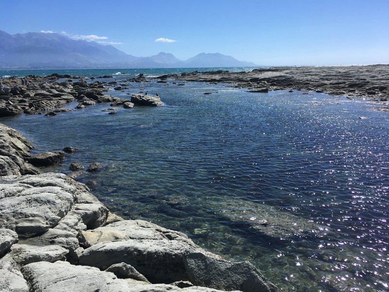 Fietsvakantie Nieuw Zeeland Cycletours 73