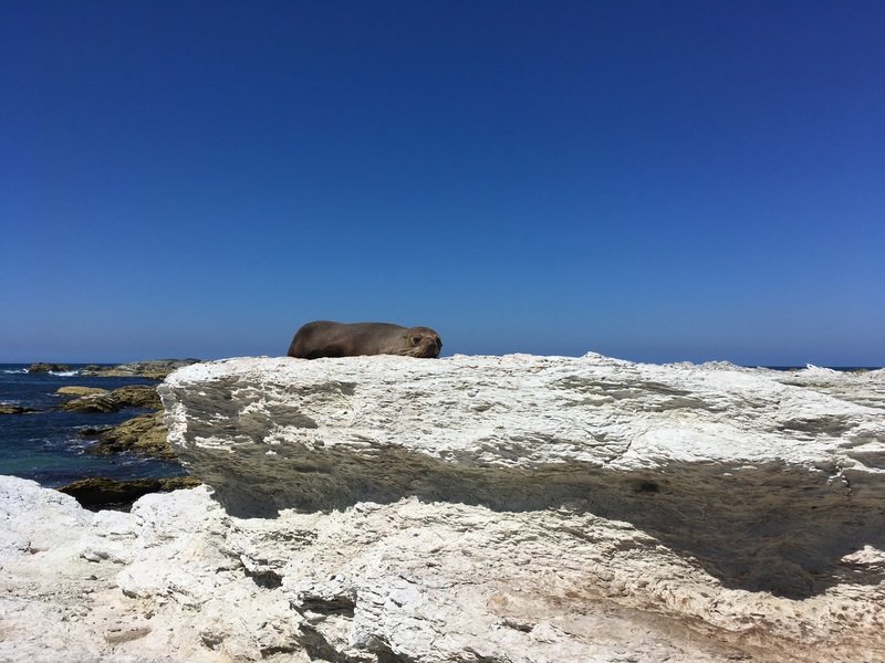 Fietsvakantie Nieuw Zeeland Cycletours 74