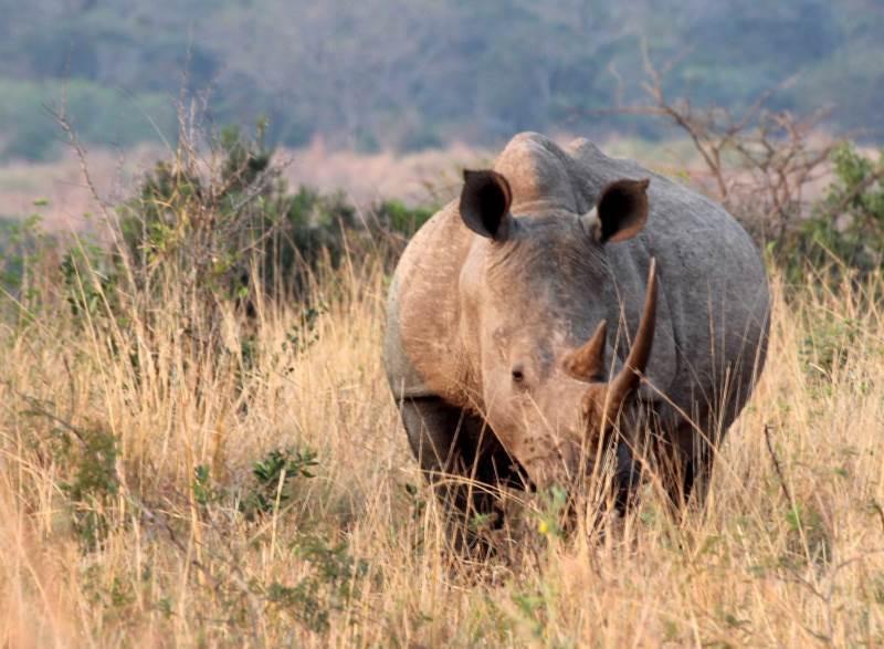 Rondreis Zuid-Afrika