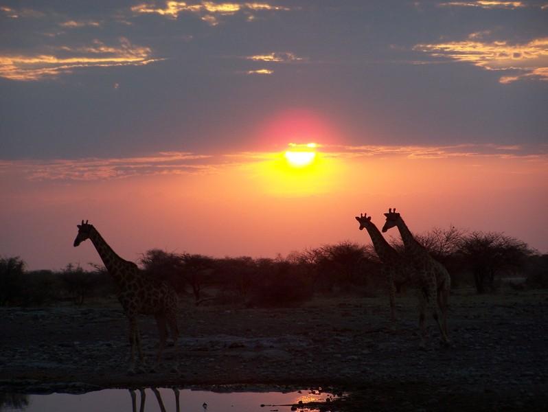 Rondreis Zuid-Afrika