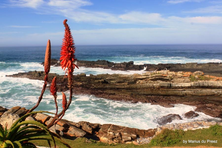 Rondreis Zuid-Afrika