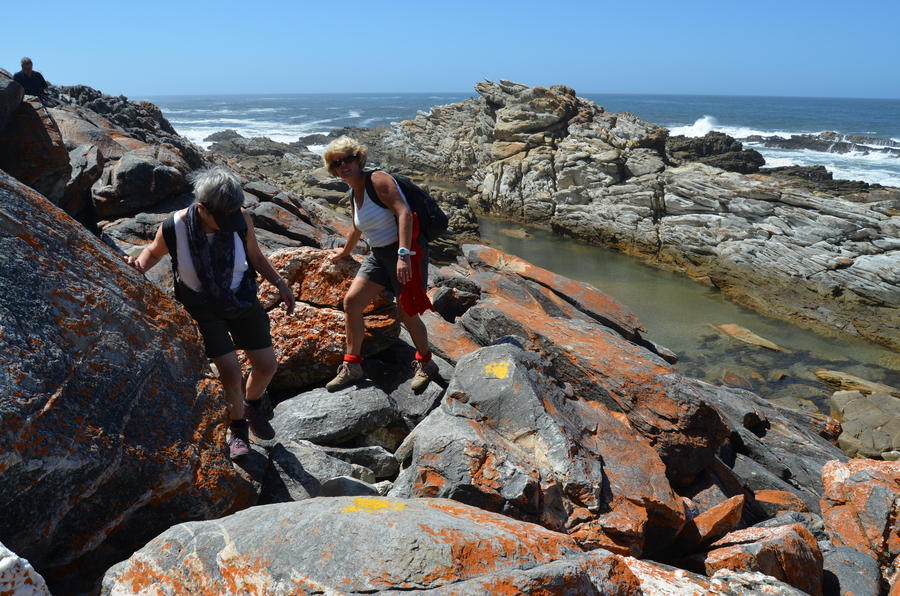 Rondreis Zuid-Afrika