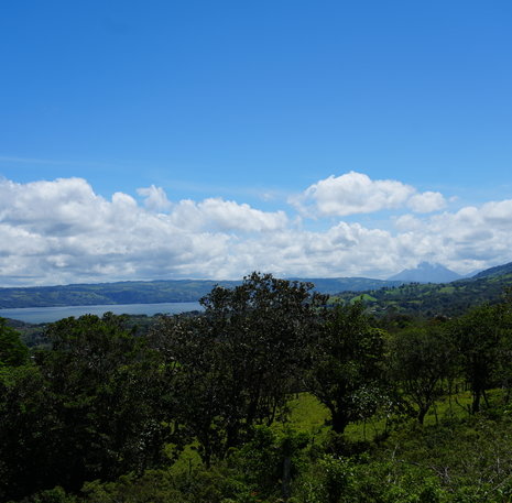 La fortuna