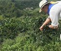 Rondreis Colombia Koffiestreek