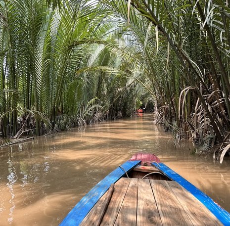 Rijstveld in Vietnam