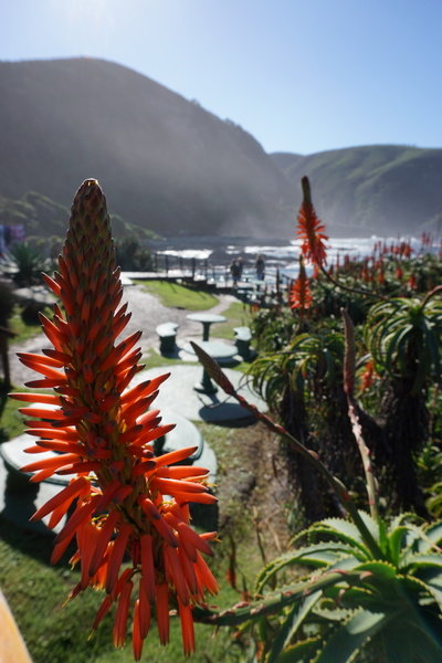 Rondreis Zuid-Afrika